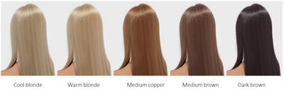 Age, Health and Attractiveness Perception of Virtual (Rendered) Human Hair